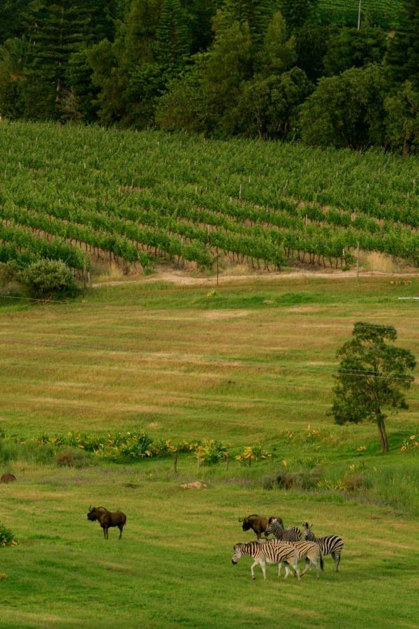 Wildlife Retreat On A Wine-Farm Βίλα Στέλενμπος Εξωτερικό φωτογραφία