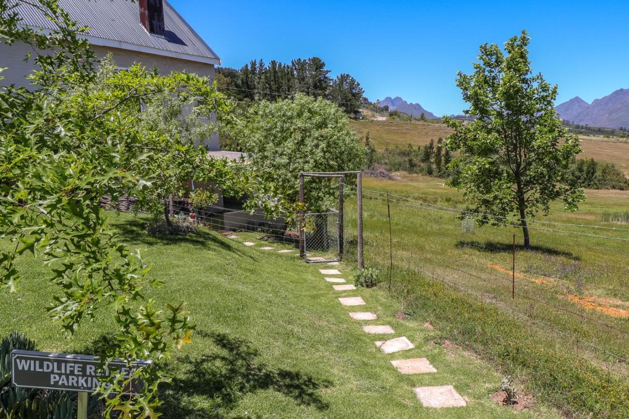 Wildlife Retreat On A Wine-Farm Βίλα Στέλενμπος Εξωτερικό φωτογραφία